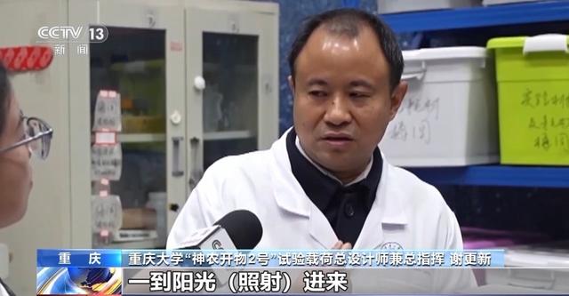 “太空蝴蝶”破蛹展翅 我國太空生物試驗取得新進展 - 