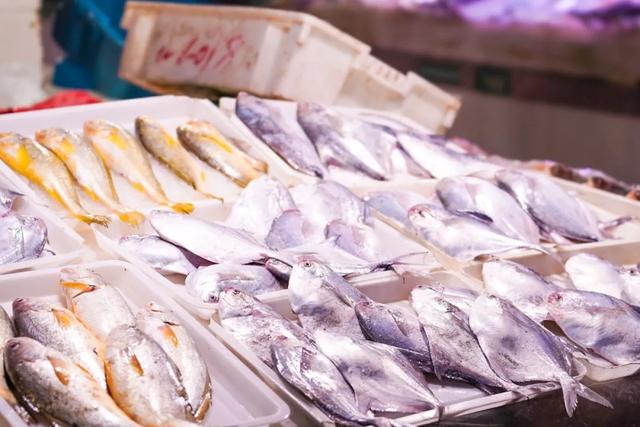 春天的東海，鮮到你吃過就定型了。。。。 - 