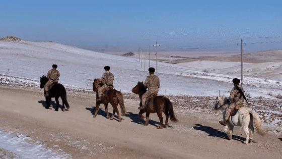 嘿，你知道軍馬怎麼敬軍禮嗎？ - 