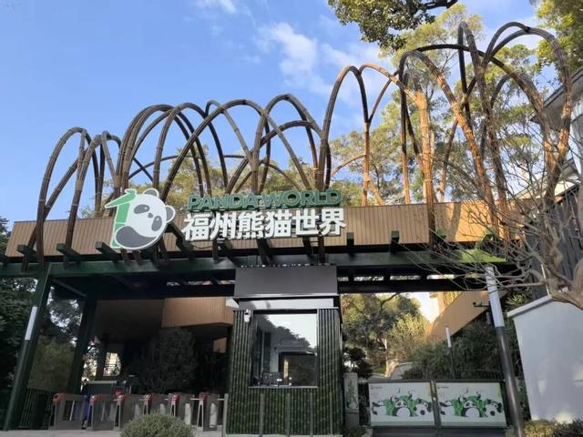 福州“喜提”五隻大熊貓！提前看它們的新家