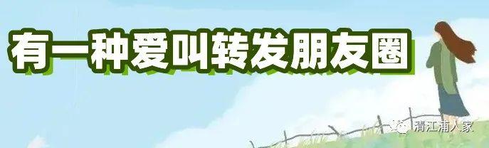 【食話人生】馬 糊 粥 || 季大相 - 