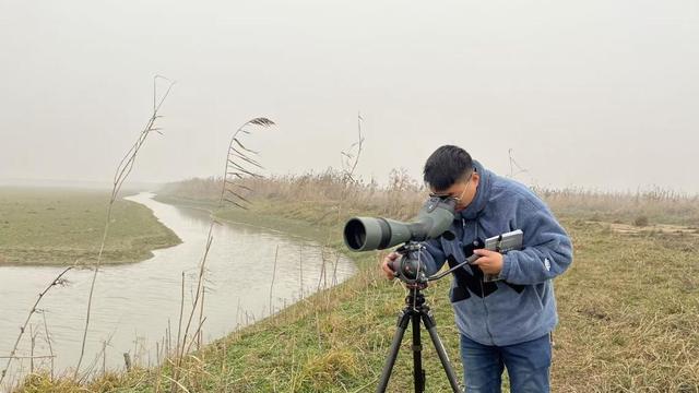 嘮“科”話｜數十萬隻候鳥，是怎麼“數”出來的？