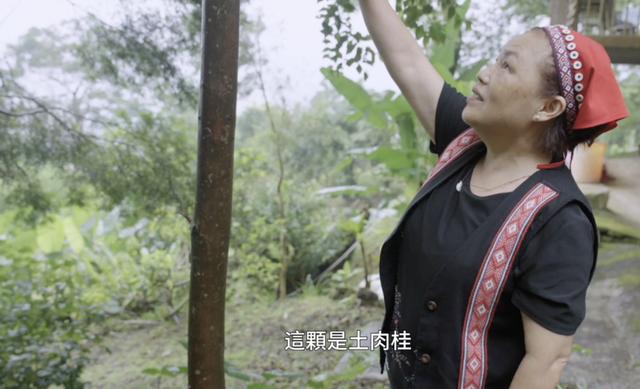 這檔剛開播的節目，盡顯中醫的“國際范兒” - 