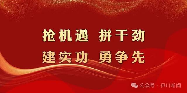 伊川：大風雨雪來襲……