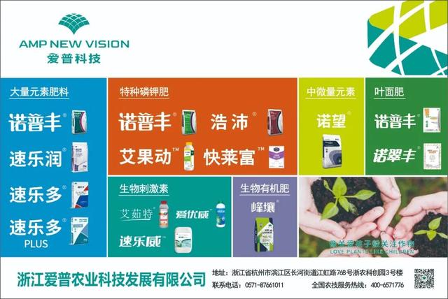 鉀肥市場靜待破局 - 