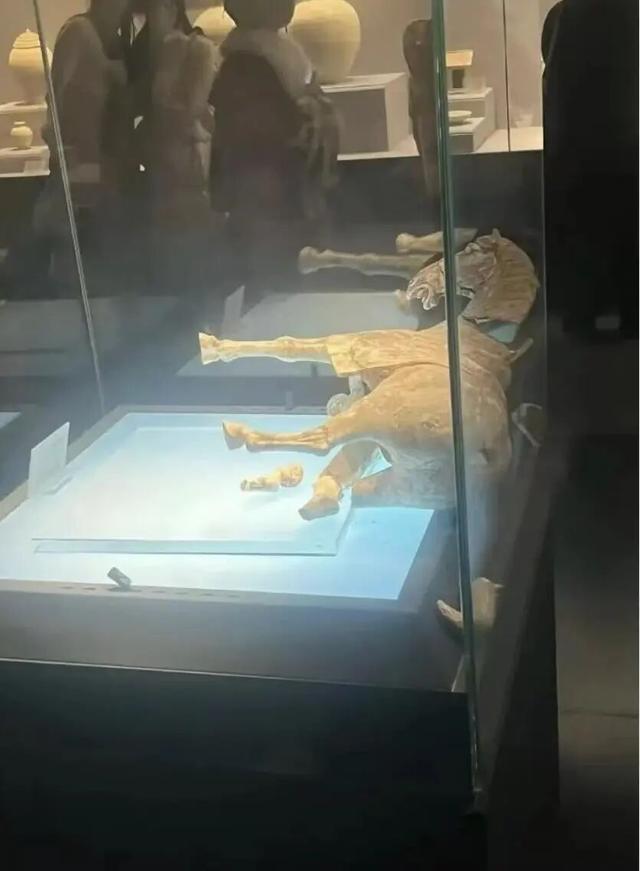 洛陽博物館一唐代陶馬倒下斷裂！館方回應：正在調查 - 