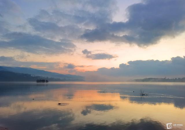 會澤念湖濕地迎來黑頸鶴遷徙高峰期 - 