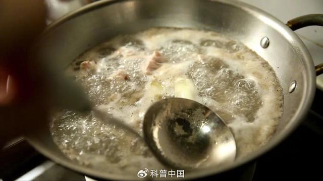 燉肉時出現的浮沫，是營養精華還是髒東西？該不該撇去？