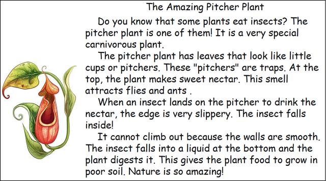 當英文書寫遇上科普，潮新聞這場“青少年英文書寫秀”等你來秀 - 
