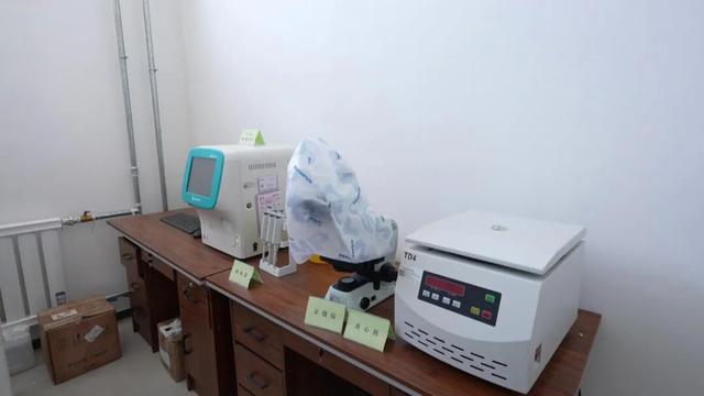 嘿，你知道軍馬怎麼敬軍禮嗎？ - 