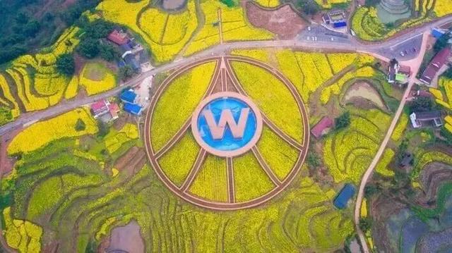 春節必備！直接打一折！不少杭州人按箱囤…… - 