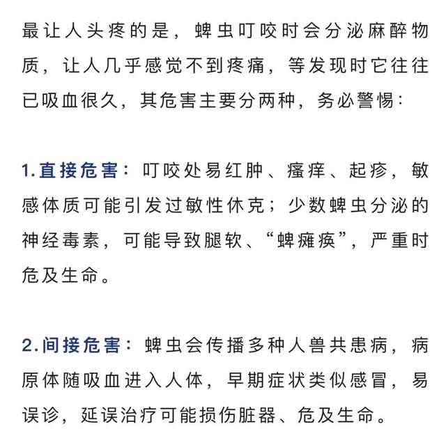 警惕！春日踏青需防範蜱蟲 - 