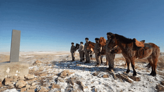 嘿，你知道軍馬怎麼敬軍禮嗎？ - 