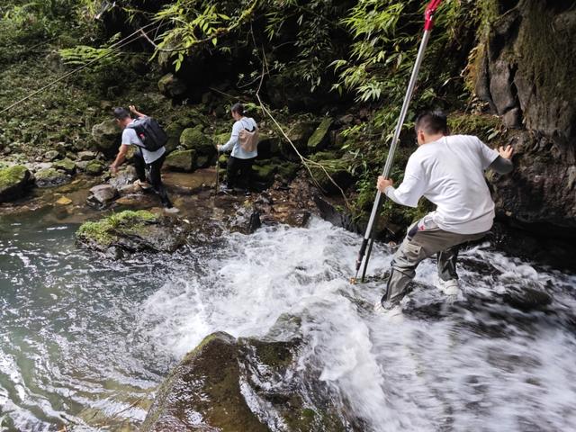 三年等一果，他把“茅台衛矛”寫進植物族譜 - 