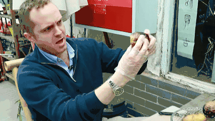 投稿太踴躍！“2025四川省外國留學生短視頻徵集大賽”延至12月31日截稿 - 