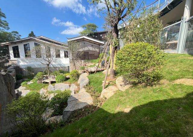 福州“喜提”五隻大熊貓！提前看它們的新家 - 