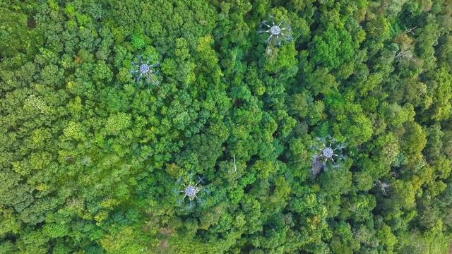 用色環打開中老500千伏聯網工程 - 