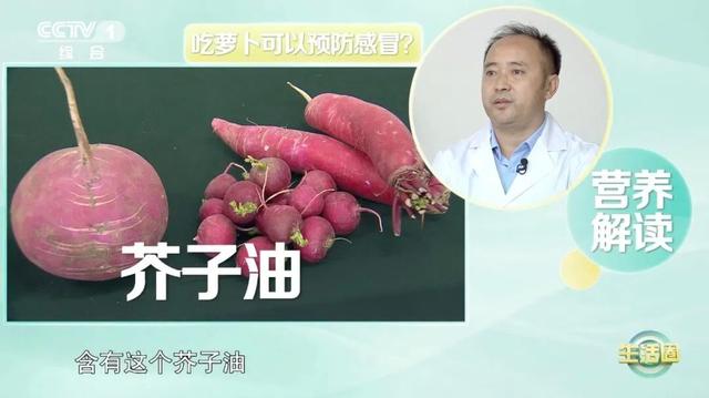 它被稱作“小人蔘”！可惜很多人都沒吃對→ - 