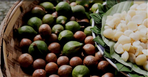 【早安雲南·滇味】看！“洋果子”也要旅居雲南