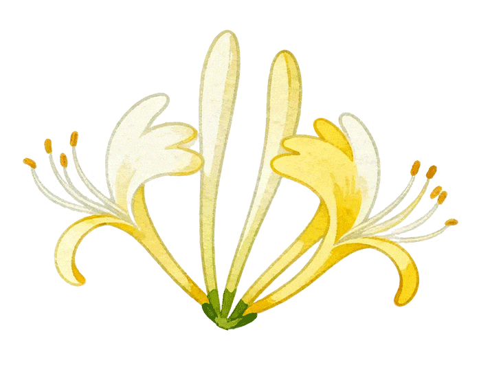 娜妹聊天丨轉晴啦~ - 