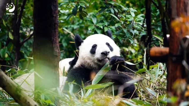 世界地球日：一起為地球，多做一點🌍✨ - 