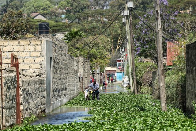 （外代二線）肯尼亞：撤離家園 - 