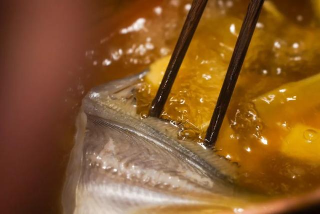 春天的東海，鮮到你吃過就定型了。。。。 - 