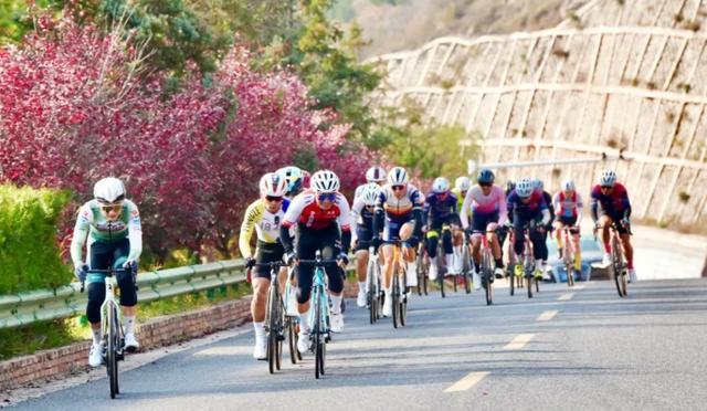 騎行黃河之濱 暢享運動激情——2025中國·榆林第四屆沿黃觀光路國際自行車賽側記 - 