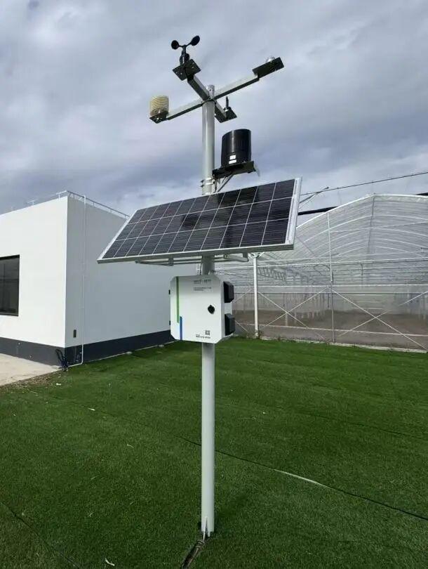 海派鄉村新圖景丨魔都農業科創力：光譜為眼、算法為腦，滴翠智能以AI賦能智慧農業 - 