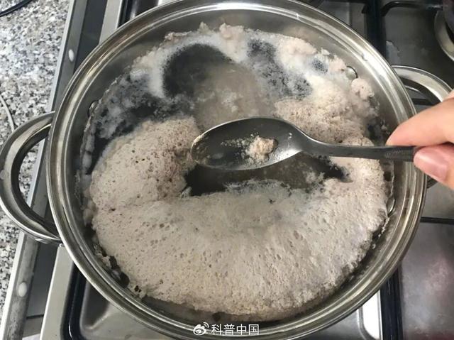 燉肉時出現的浮沫，是營養精華還是髒東西？該不該撇去？ - 