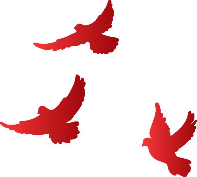 家+書屋｜學逃生、開戰機、探核心艙……“柘”里的少年這樣致敬中國航天 - 