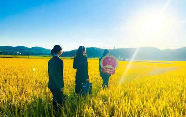 從營商環境到基層治理……福建法治實踐暖了千家萬戶 - 