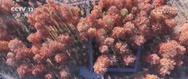 古人的“天氣預報”還管用嗎？用氣象大數據解析古人智慧總結髮現意外驚喜 - 