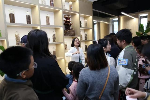 青春藥師尋寶記，穿越到明朝辨中藥，為健康助力 - 