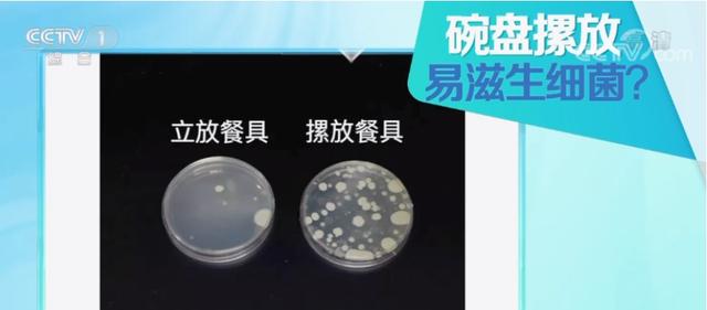 今天起，洗碗請務必調整一下！ - 天天要聞