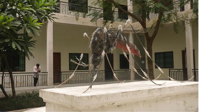 蚊帳、藥片與中國經驗：柬埔寨的抗瘧之路