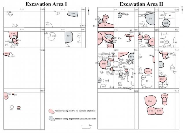 山大證實，淡出餐桌的麻，4000年前曾是北方主糧 - 