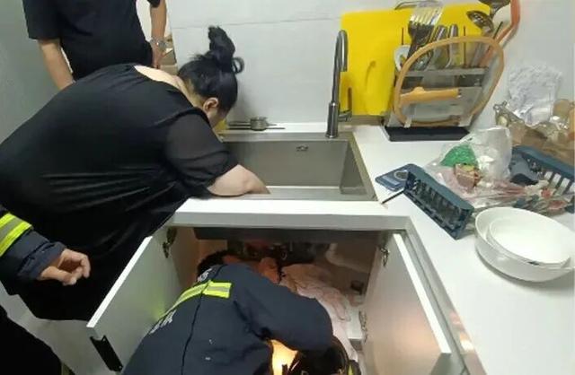 提醒！廚房這個地方利如刀片，千萬不要伸手進去→