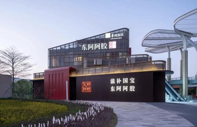 這檔剛開播的節目，盡顯中醫的“國際范兒” - 