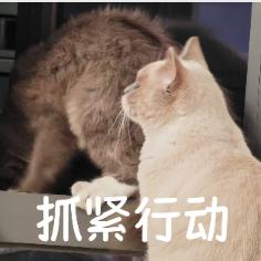 春天的東海，鮮到你吃過就定型了。。。。 - 