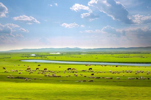 全網刷屏！全國人大代表的“東北嗑”，小編來給你“中譯中”→ - 