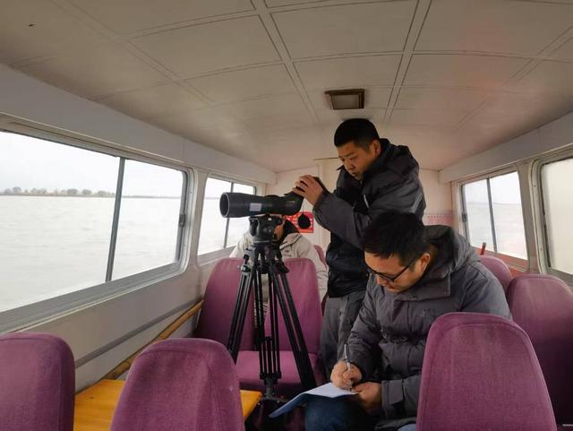 嘮“科”話｜數十萬隻候鳥，是怎麼“數”出來的？ - 