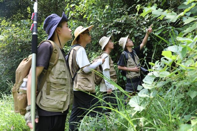 三年等一果，他把“茅台衛矛”寫進植物族譜 - 