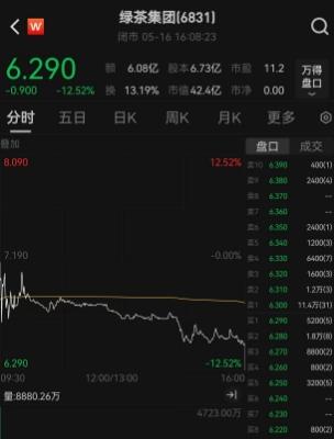 上市首日大跌超過12%，網紅餐廳綠茶集團被資金嫌棄，誕生於「美食沙漠」杭州，4年5度IPO終於上市，2024年瘋狂開出120家新餐廳 - 天天要聞
