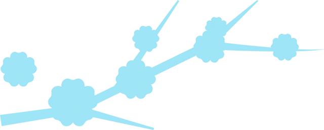 青春藥師尋寶記，穿越到明朝辨中藥，為健康助力 - 