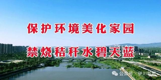 伊川：大風雨雪來襲…… - 