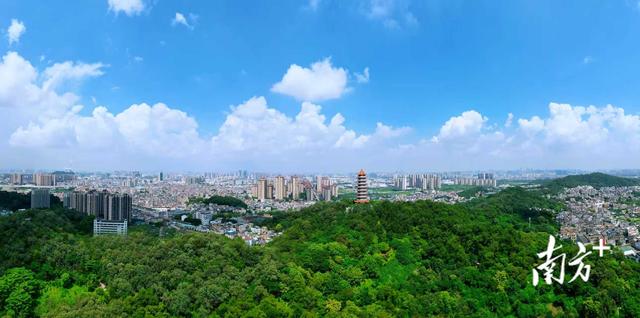 鎮有料｜億元項目搶灘中山黃圃千畝空間