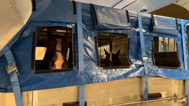 首次大規模投用自研摺疊馬廄，南航活體航空運輸實現新突破 - 