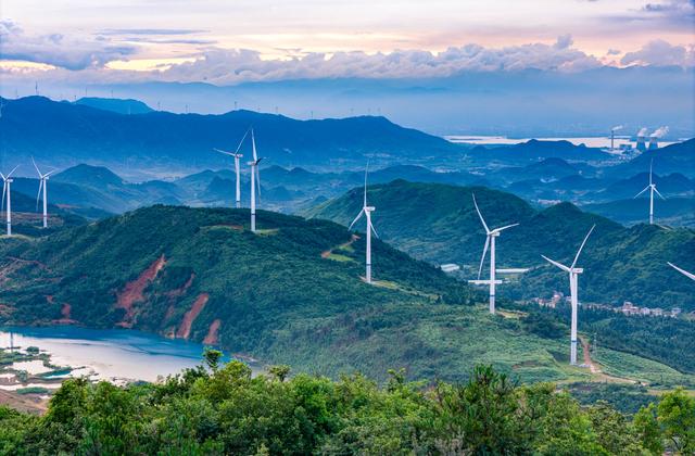 銳評｜700萬光伏“房東”，照見了什麼 - 