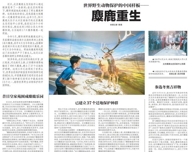 溫故丨呦呦鹿鳴響徹南海子，背後是一段從絕跡到重生的傳奇 - 